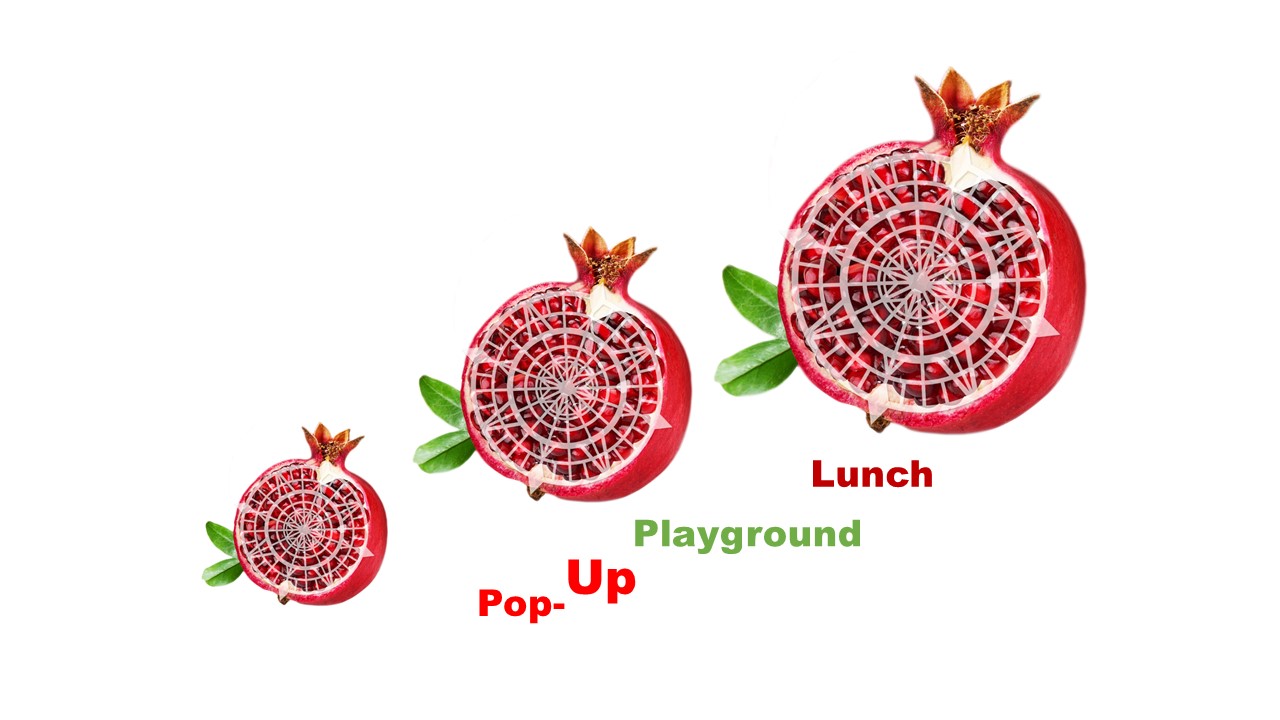 PopUp Pomegranates