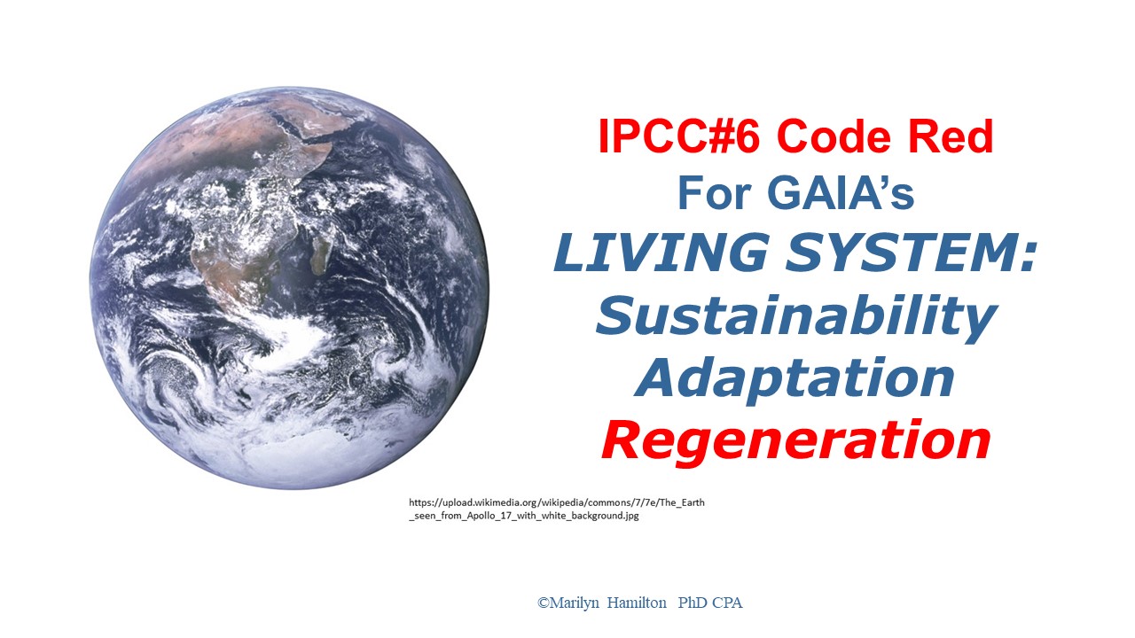 Reflective Organ Newsletter September Equinox 2021: Code Red for ...